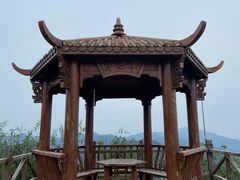 -大岭沟猕猴桃谷风景区