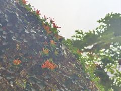 -南岗山公园