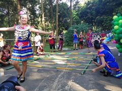 -南宁良凤江国家森林公园