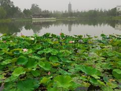 -西海子公园