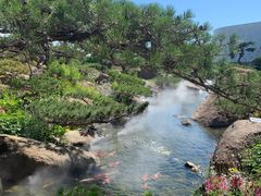 -罗红摄影艺术馆