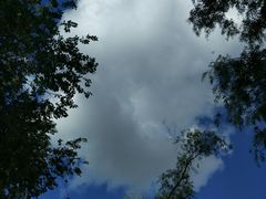 -人民防洪胜利纪念塔