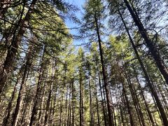 -终南山南五台景区