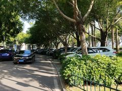 -白鹭洲公园