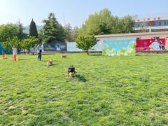 -趣玩宠物乐园寄养训犬训狗游泳池