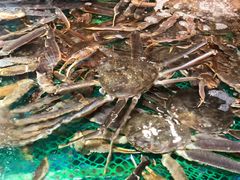 -79号渔船海鲜饭店(宝安店)