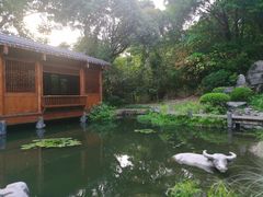 -深圳国际园林花卉博览园