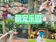 -佛冈森波拉度假区