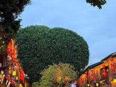 -三坊七巷历史文化街区