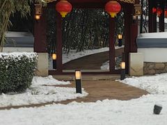-咖啡CHA自助餐厅(香格里拉饭店)