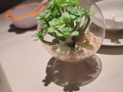 -码头见·潮汕菜(领展中心城店)