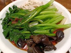 -新白鹿餐厅(龙游路店)