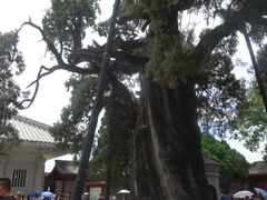 -黄帝陵