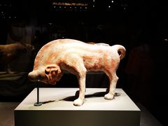 -大同市博物馆