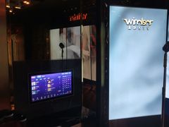 -温莎KTV(珠江路店)