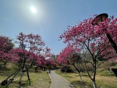 -堤角公园