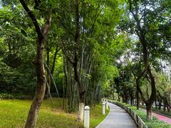 -燕晗山郊野公园
