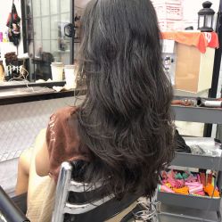 -SALON V