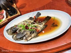 -乔家小院•非遗驴肉•本地小海鲜(滨河路店)
