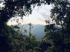-阳台山森林公园