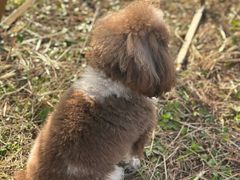 -海宁大尖山滑翔伞运动基地