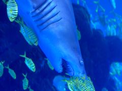 -成都浩海立方海洋公园