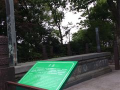 -紫金山天文台