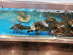 -盒马鲜生(大成店)