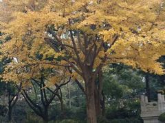 android_upload_pic-汇龙潭