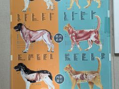 -瑞鹏宠物医院(大运分院)