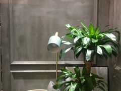 -鲜果盒子(会展店)