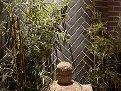 -Mountain House East Village 川山甲