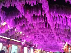 -婺源梦里老家大型山水实景演出