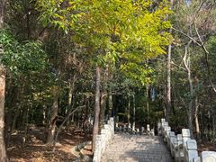 -灵岩山风景区
