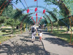 -嬉乐湾休闲旅游区