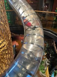 -奇幻丛林(佛罗伦萨小镇店)