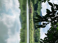 -东莞植物园