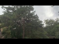 -燕塞湖鸟语林景区