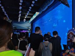 -烟台海昌鲸鲨海洋公园