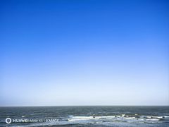 -海口绿发希尔顿酒店-田园汇自助餐·三文鱼·海鲜