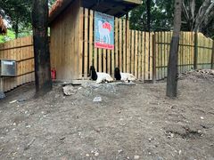 -成都欢乐谷