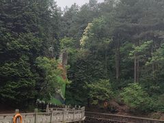 -四明山国家森林公园