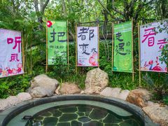 -美的鹭湖森林度假区