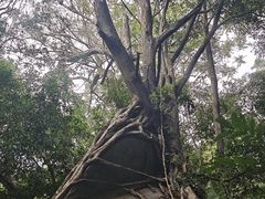 -七仙岭温泉国家森林公园