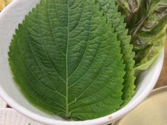 -青瓦餐厅·生鱼片·韩园烤肉(西塔店)