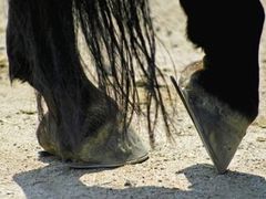 -贝菲特游泳健身(徐泾店)