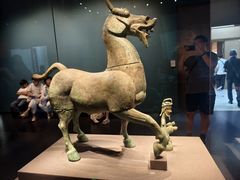 -广西壮族自治区博物馆