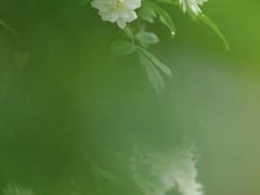 -南门头上美食街