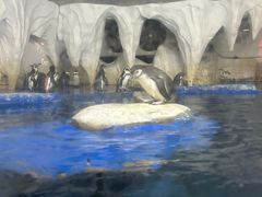 -太平洋海底世界