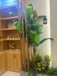 -芳朵美容养生SPA